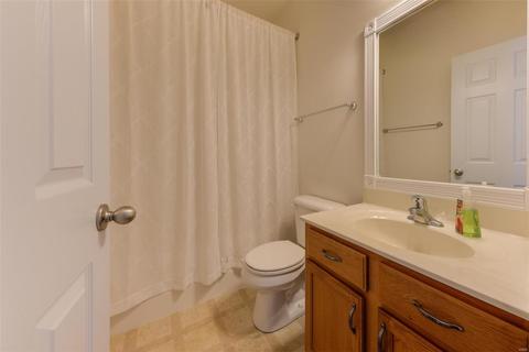 206 Natural Spring Dr, St Peters, MO 63366 photo 25