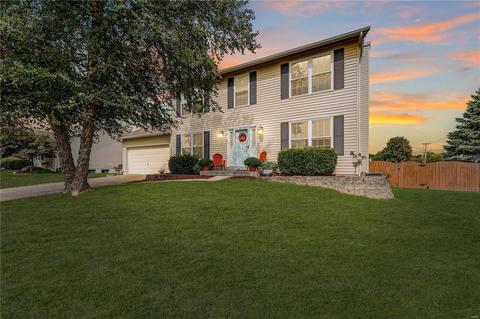 7201 Cinnamon Teal Dr, O'fallon, MO 63368 photo 2