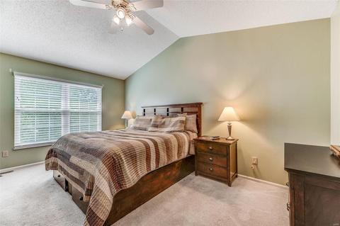 7201 Cinnamon Teal Dr, O'fallon, MO 63368 photo 14