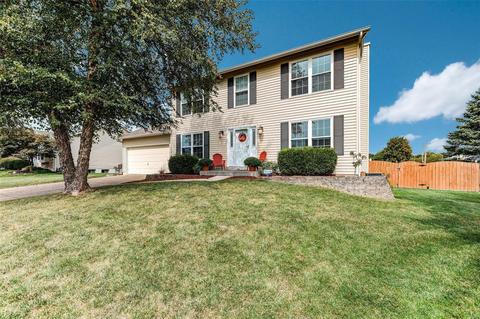 7201 Cinnamon Teal Dr, O'fallon, MO 63368 photo 1