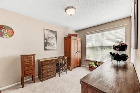 7201 Cinnamon Teal Dr, O'fallon, MO 63368 photo 19