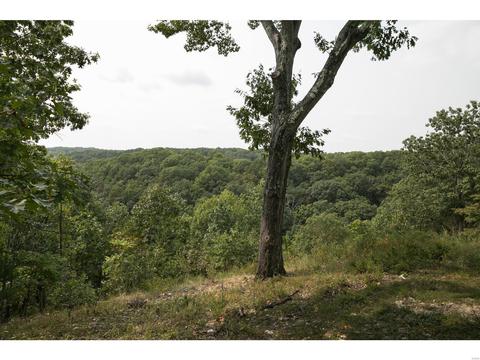 16113 Canyon Ridge Ct, Wildwood, MO 63021 photo 56