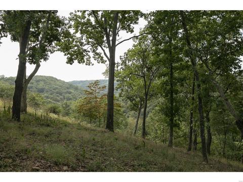 16113 Canyon Ridge Ct, Wildwood, MO 63021 photo 57