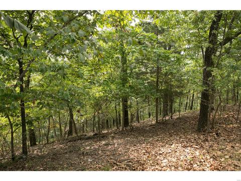 16113 Canyon Ridge Ct, Wildwood, MO 63021 photo 53