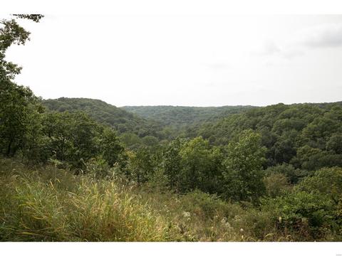 16113 Canyon Ridge Ct, Wildwood, MO 63021 photo 55