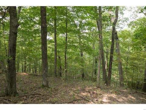 16113 Canyon Ridge Ct, Wildwood, MO 63021 photo 54
