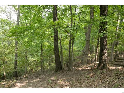 16113 Canyon Ridge Ct, Wildwood, MO 63021 photo 51