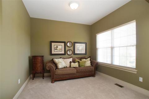 1107 Ridgeway Meadow Dr, Ellisville, MO 63021 photo 28