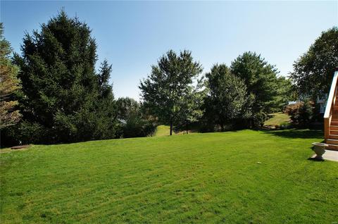1107 Ridgeway Meadow Dr, Ellisville, MO 63021 photo 57