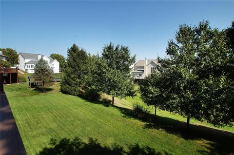 1107 Ridgeway Meadow Dr, Ellisville, MO 63021 photo 24