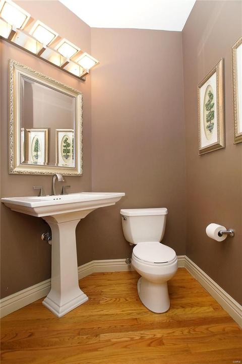 1107 Ridgeway Meadow Dr, Ellisville, MO 63021 photo 20