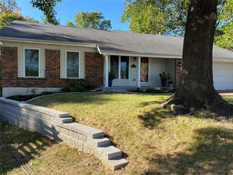 5 Chappel Ct, Manchester, MO 63021 photo 28