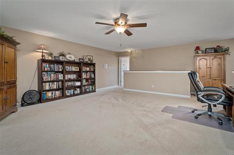 413 Copper Tree Trl, O'fallon, MO 63368 photo 21