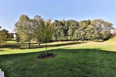 947 Crown Pointe Estates Dr, Wildwood, MO 63021 photo 58