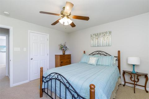 919 Cypress Trl, O'fallon, MO 63368 photo 24
