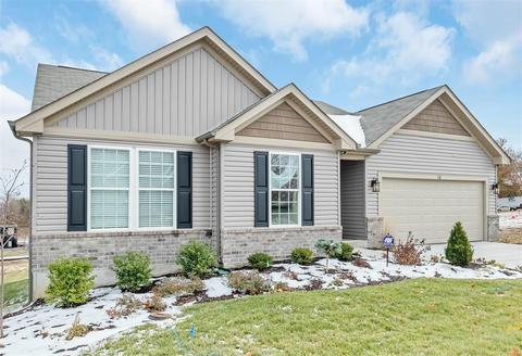 123 Cedar Hts, Festus, MO 63028 photo 1
