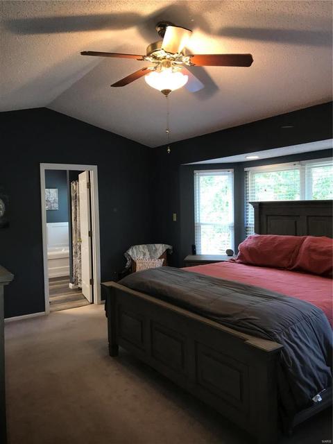 250 Old Stone Ct, O'fallon, MO 63368 photo 21