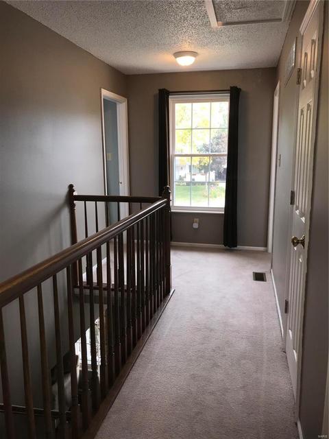 250 Old Stone Ct, O'fallon, MO 63368 photo 17