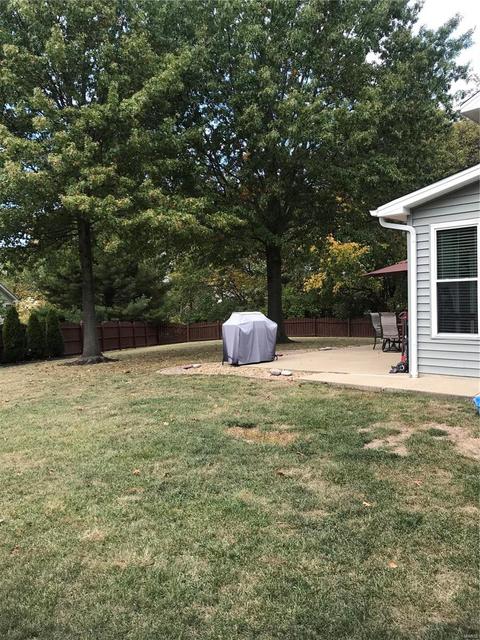 250 Old Stone Ct, O'fallon, MO 63368 photo 29