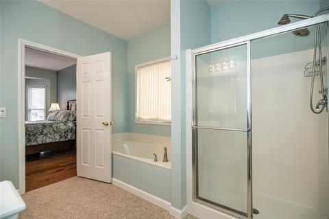 20 Dugout Ct, O'fallon, MO 63366 photo 17