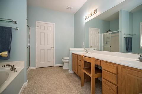 20 Dugout Ct, O'fallon, MO 63366 photo 16