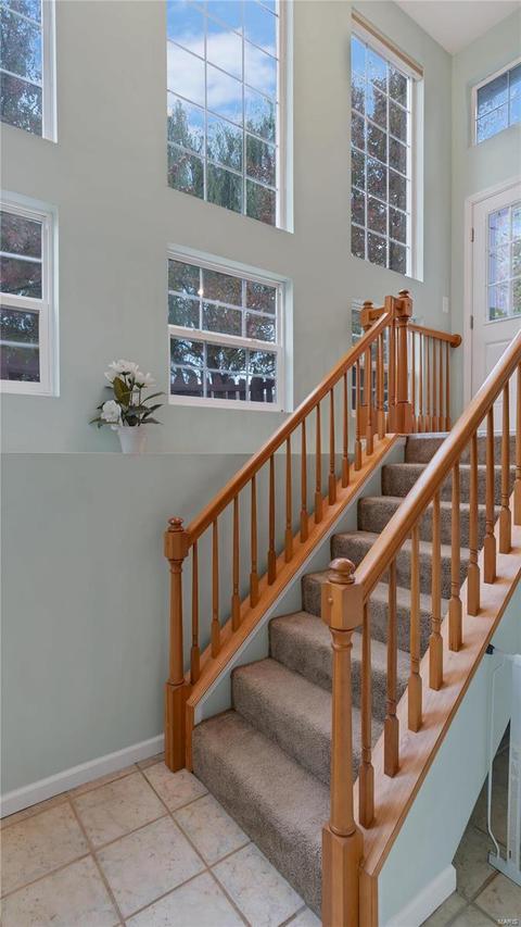 1 Sapphire Ct, O'fallon, MO 63366 photo 16