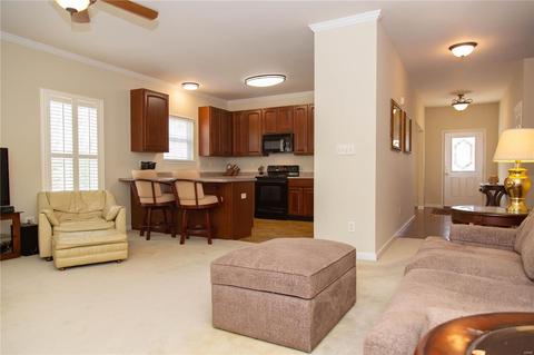 605 Grey Mountain Dr, O'fallon, MO 63368 photo 10