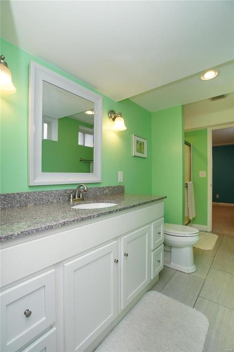 16618 Green Needle Ct, Wildwood, MO 63011 photo 42