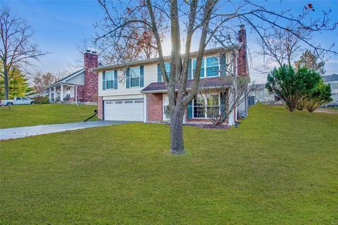 242 Mar El Ct, Ellisville, MO 63011 photo 34
