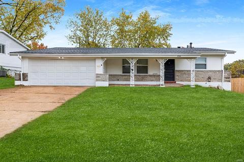 2562 Hackman, Saint Louis, MO 63136 photo 1