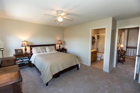 707 Forest Trace Dr #E, Chesterfield, MO 63017 photo 27
