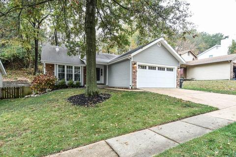 552 Woodlyn Xing, Ballwin, MO 63021 photo 3