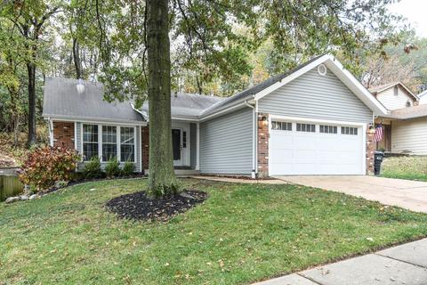 552 Woodlyn Xing, Ballwin, MO 63021 photo 4