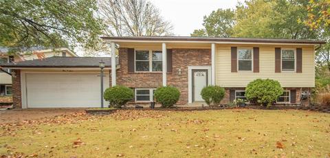 307 Wembley, Manchester, MO 63021 photo 1