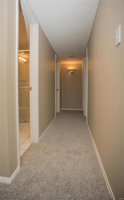 307 Wembley, Manchester, MO 63021 photo 19