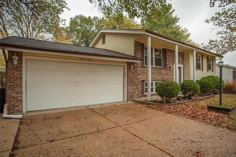 307 Wembley, Manchester, MO 63021 photo 2