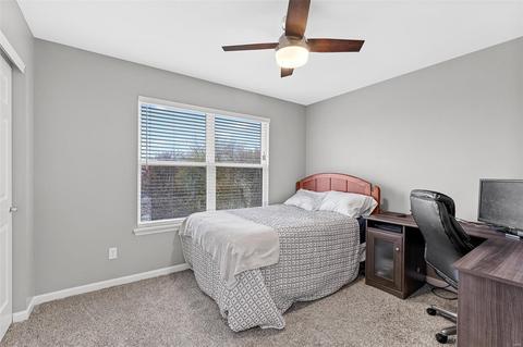 119 Gladiola Ct, O'fallon, MO 63368 photo 28