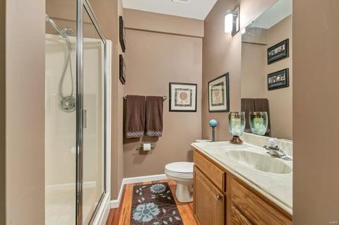 12 Pine Cliff Ct, Defiance, MO 63341 photo 35