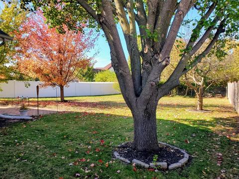 1469 Cochise, O'fallon, MO 63366 photo 3