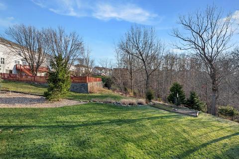 6 Meramec Bluffs Ct, Eureka, MO 63025 photo 42