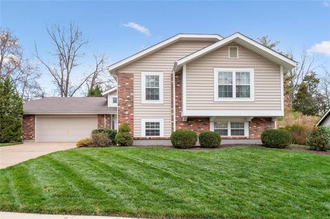 16823 Babler Vw, Wildwood, MO 63011 photo 1