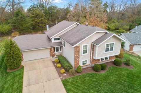16823 Babler Vw, Wildwood, MO 63011 photo 44