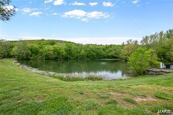 154 Beard #A, Eureka, MO 63025 photo 26