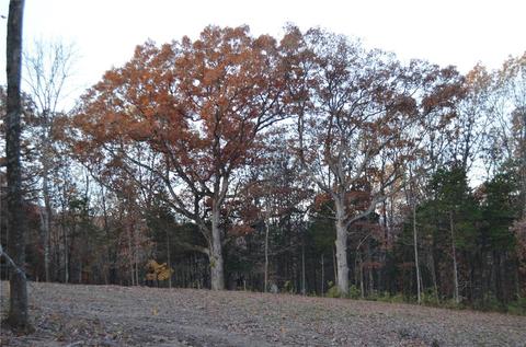 90 Schloss, Eureka, MO 63025 photo 8
