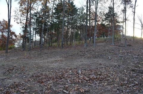 90 Schloss, Eureka, MO 63025 photo 6