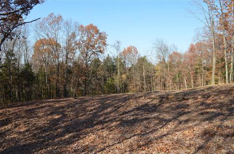 90 Schloss, Eureka, MO 63025 photo 5