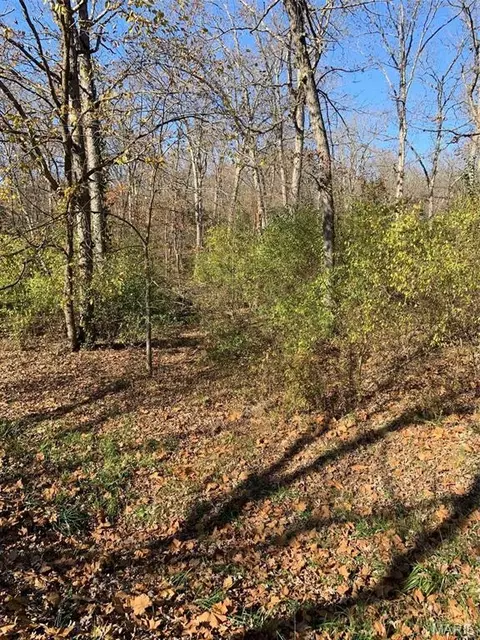 255 Foxboro Rd, Gerald, MO 63037 photo 5