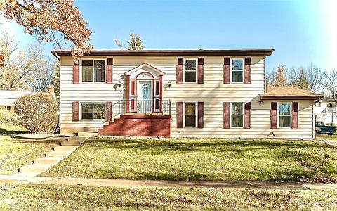 916 Glenmill Dr, Manchester, MO 63021 photo 1