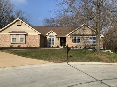 999 Timber Glen Ln, Ballwin, MO 63021 photo 1