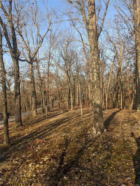 3324 Pine Clf, Glencoe, MO 63038 photo 7
